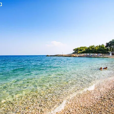 Flower's Alonnisos - Artemis Summer Escape Daire Patitiri