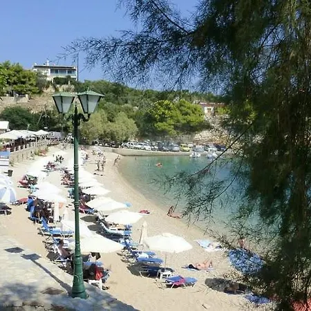 Flower's Alonnisos - Artemis Summer Escape