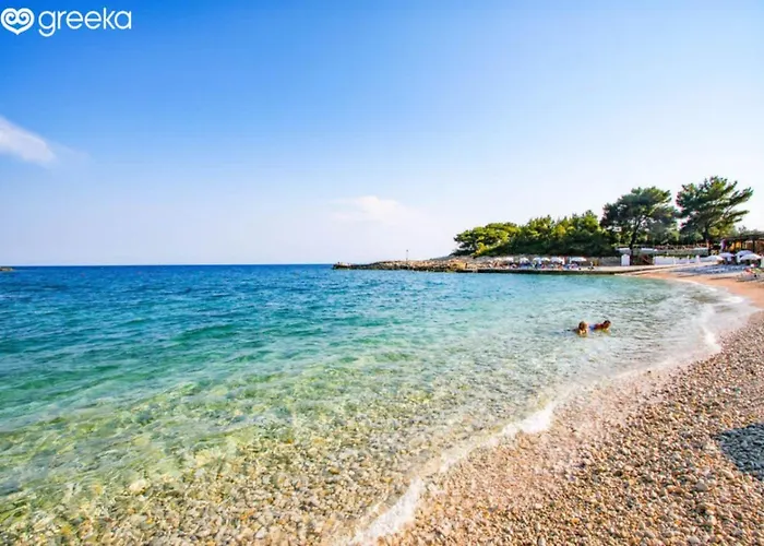 Apartment Flower's Alonnisos - Artemis Summer Escape *